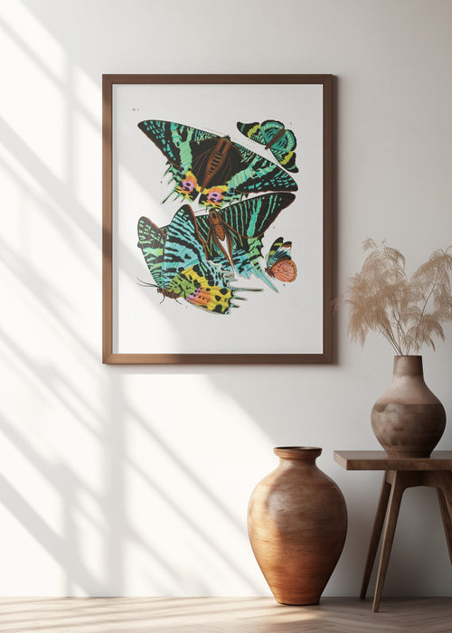 Butterflies 3 Framed Art Wall Decor