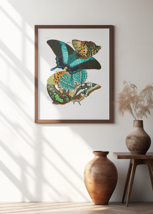 Butterflies 5 Framed Art Modern Wall Decor