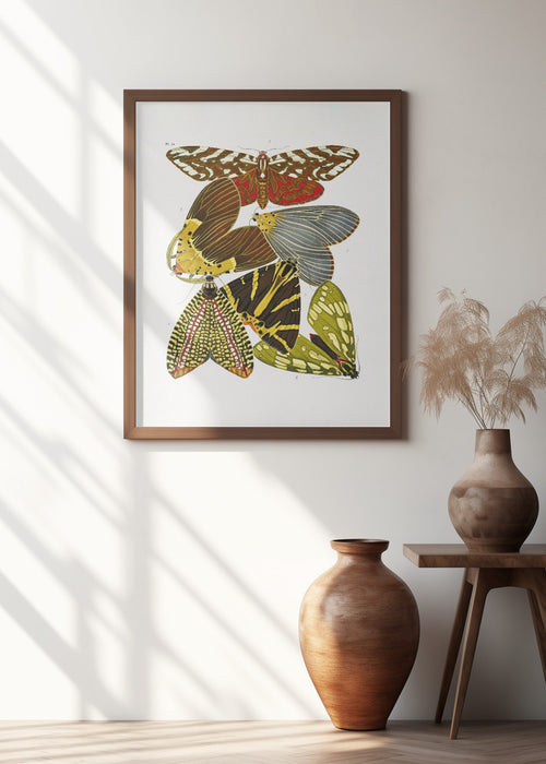 Butterflies 6 Framed Art Wall Decor