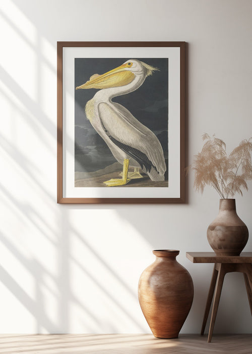 American White Pelican From Birds of America (1827) Framed Art Modern Wall Decor