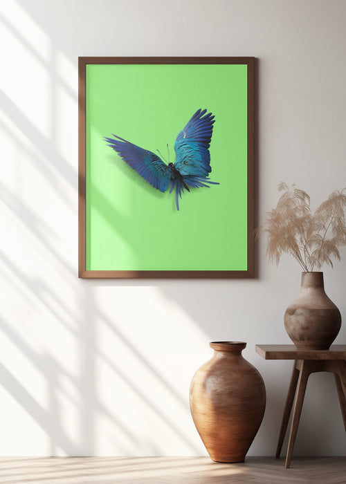 Parrot Butterfly Framed Art Modern Wall Decor