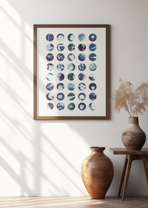 Botanical Cyanotypes Framed Art Modern Wall Decor