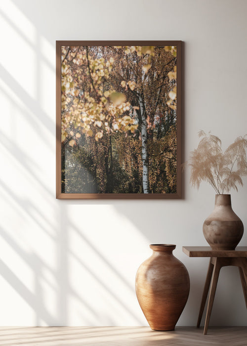 Autumn Birch Tree Framed Art Wall Decor