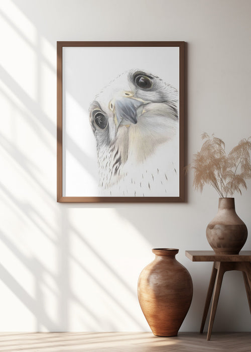 Falcon Framed Art Wall Decor