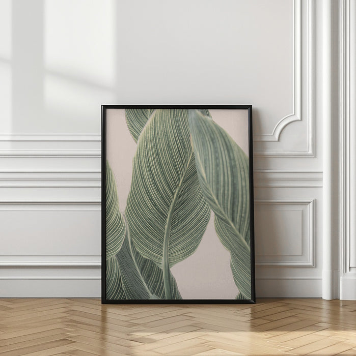 Calla Leaf Framed Art Modern Wall Decor