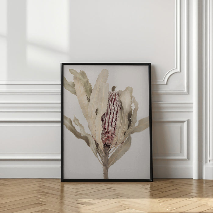 Banksia Framed Art Modern Wall Decor