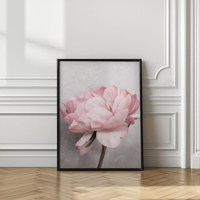 Peony Framed Art Modern Wall Decor