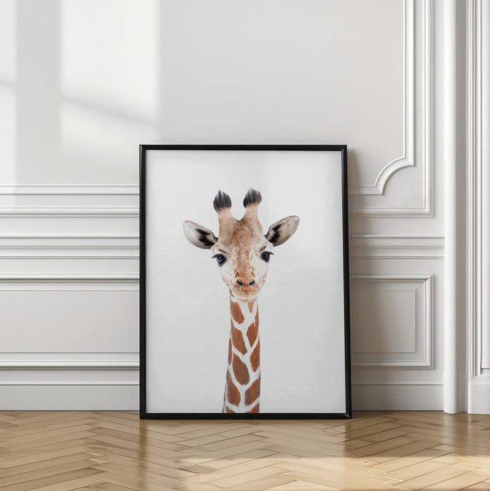 Baby Giraffe Framed Art Modern Wall Decor