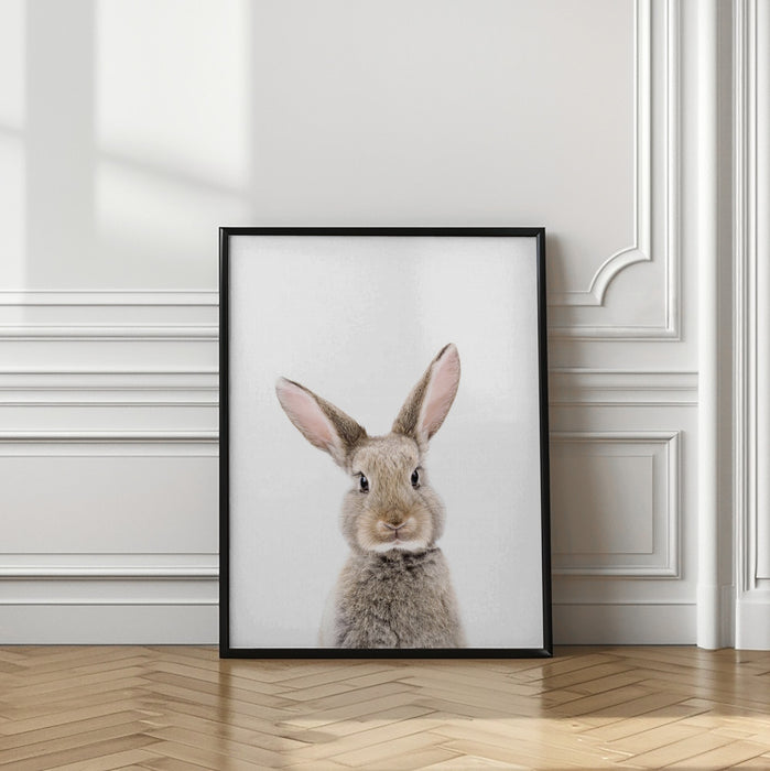 Baby Rabbit Framed Art Modern Wall Decor