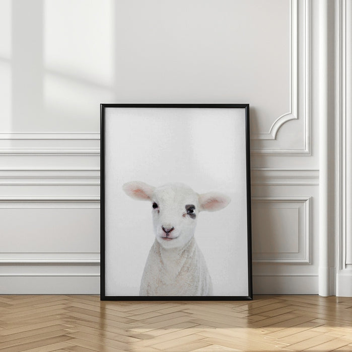 Baby Lamb Framed Art Modern Wall Decor