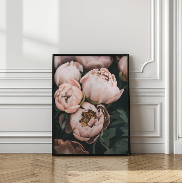 Coral Peonies Framed Art Modern Wall Decor