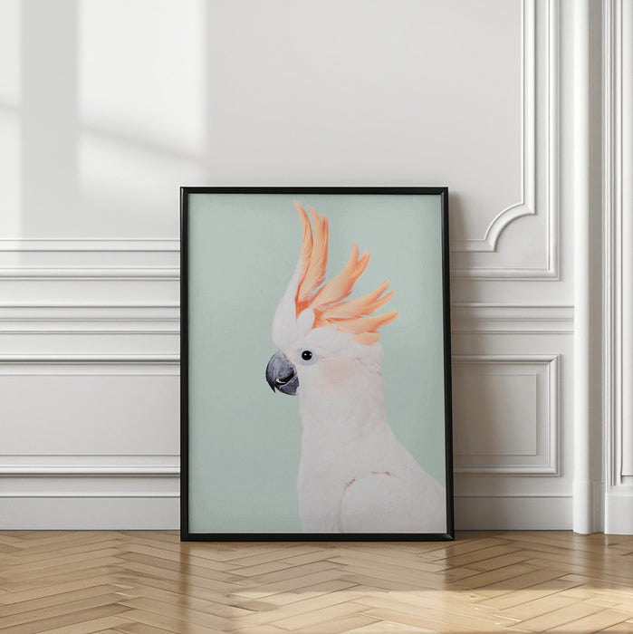 Cockatoo Framed Art Modern Wall Decor