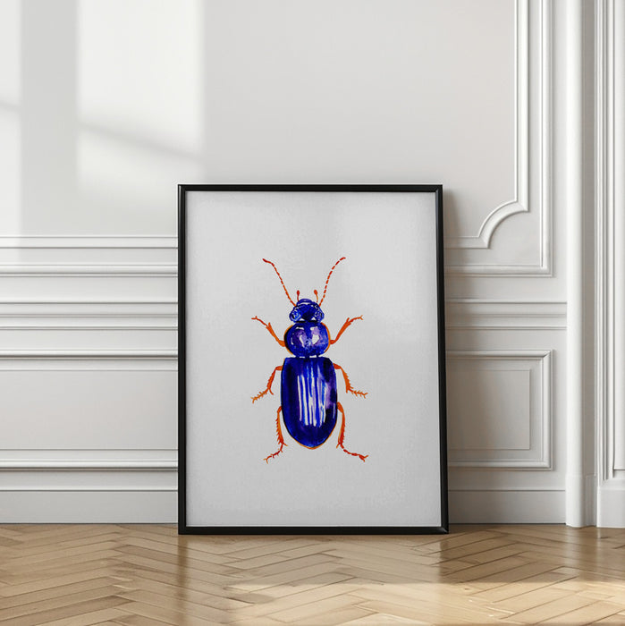 Ophonus minimus Framed Art Modern Wall Decor