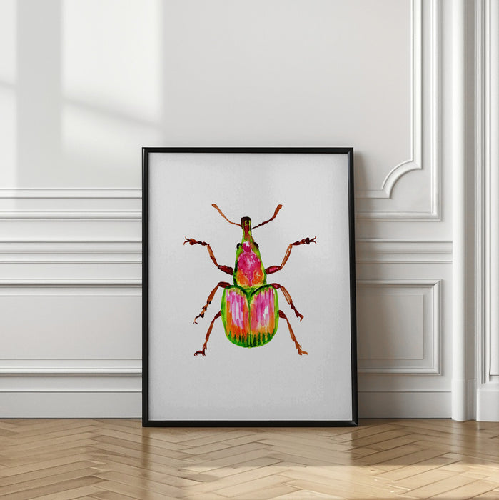 Apricot weevil or Epirhynchites auratus Framed Art Modern Wall Decor