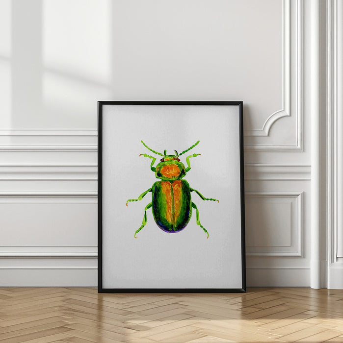 Tansy beetle or Chrysolina graminis Framed Art Wall Decor