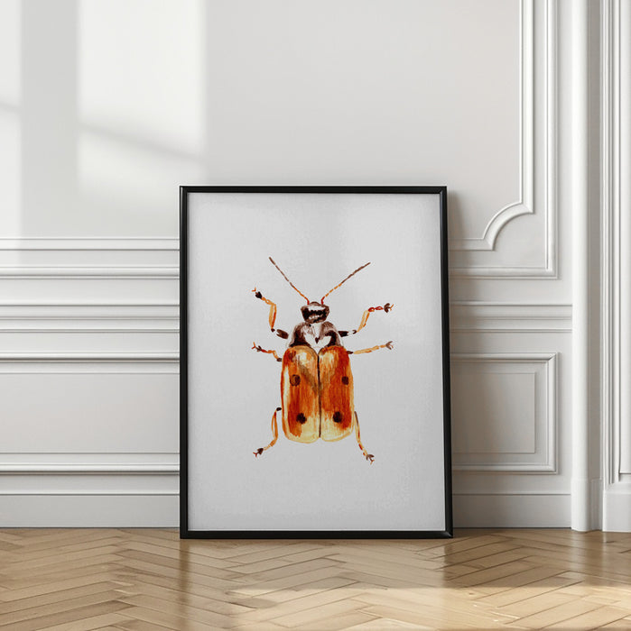 Another leaf beetle the Cryptocephalus cordiger Framed Art Modern Wall Decor