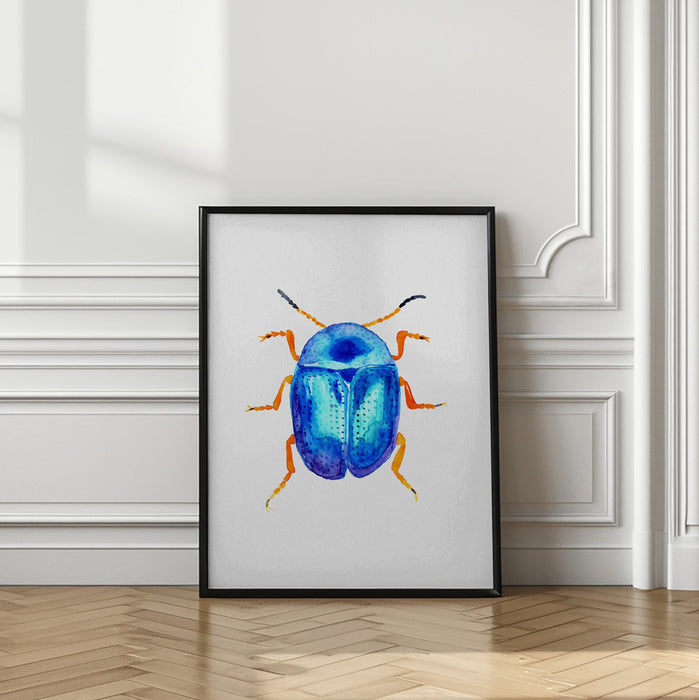 Blue leaf beetle or Colaphus sophiae Framed Art Modern Wall Decor