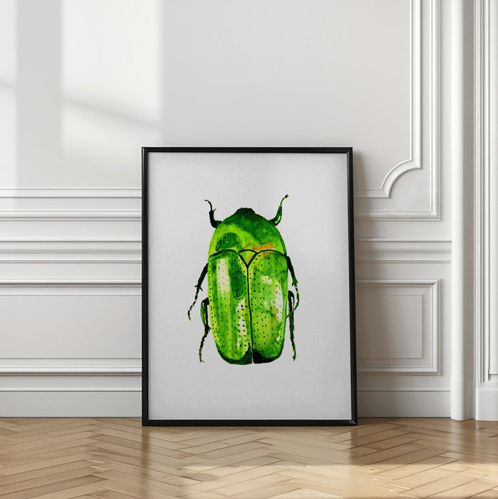 Green June beetle or Cotinis nitida Framed Art Modern Wall Decor