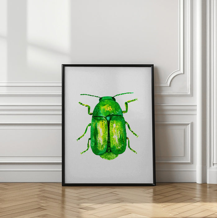 Cylindrical leaf beetle or Cryptocephalus sericeus Framed Art Modern Wall Decor