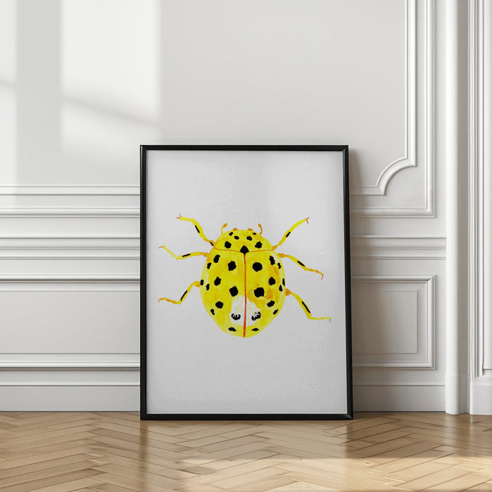 The 22-spot ladybird or Psyllobora vigintiduopunctata Framed Art Modern Wall Decor