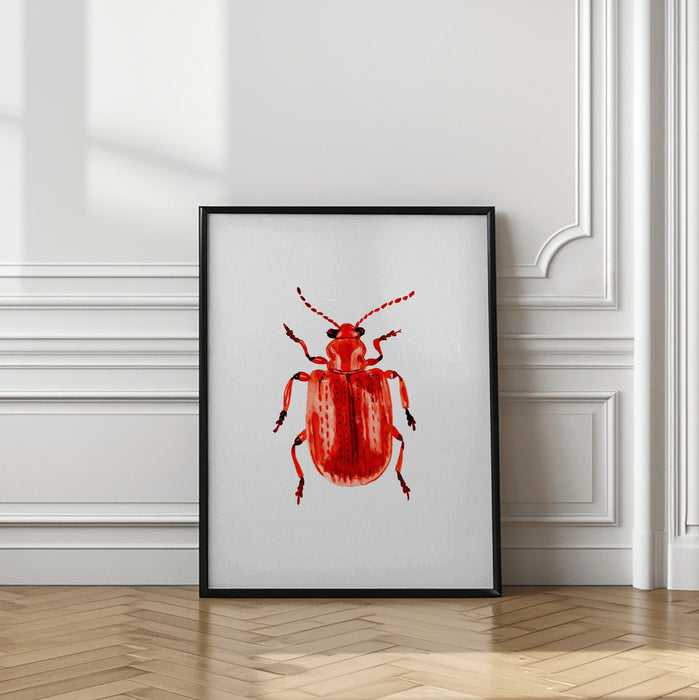 Onion beetle or Lilioceris merdigera Framed Art Modern Wall Decor