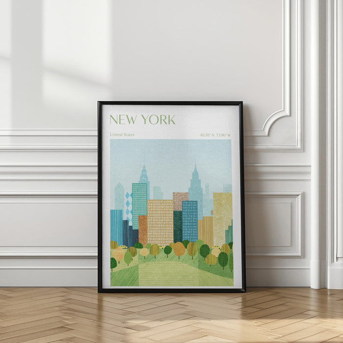 New York, Central Park Framed Art Modern Wall Decor