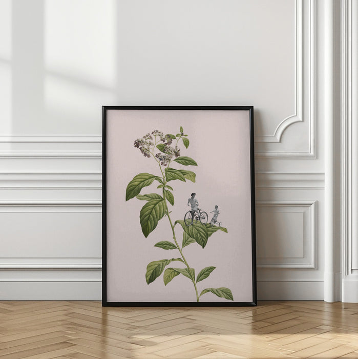 Botanical cycling Framed Art Modern Wall Decor