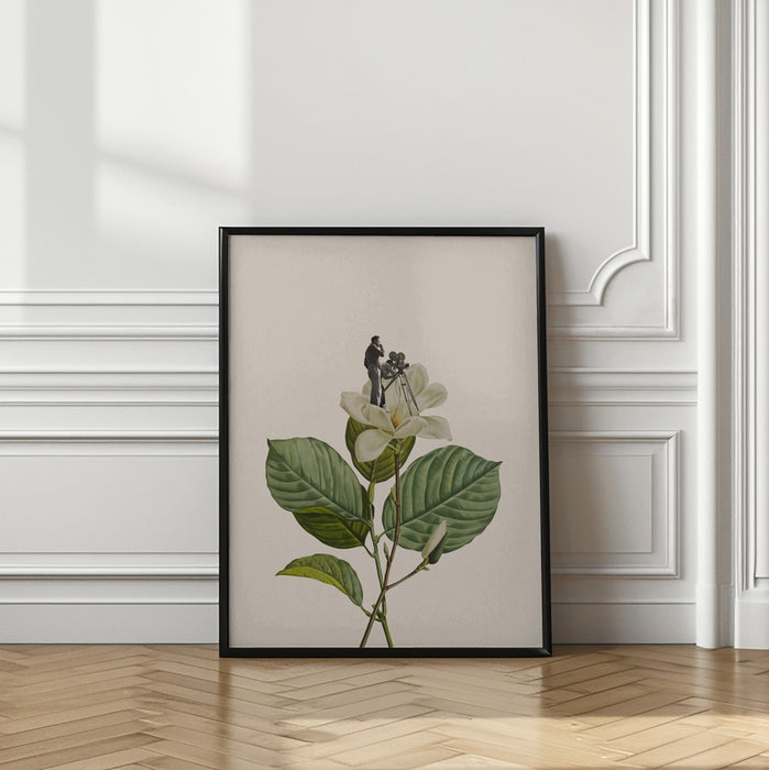 Botanical vintage cameraman Framed Art Modern Wall Decor