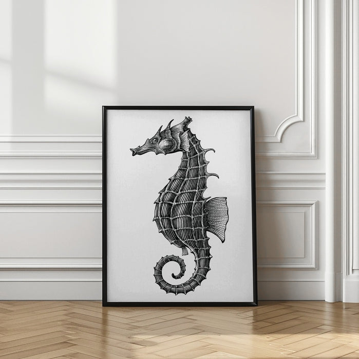 Seahorse Framed Art Wall Decor