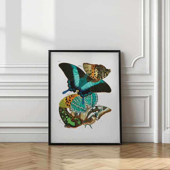 Butterflies 5 Framed Art Modern Wall Decor