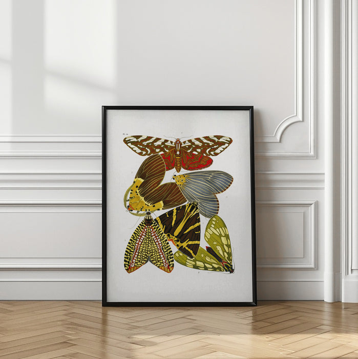 Butterflies 6 Framed Art Wall Decor