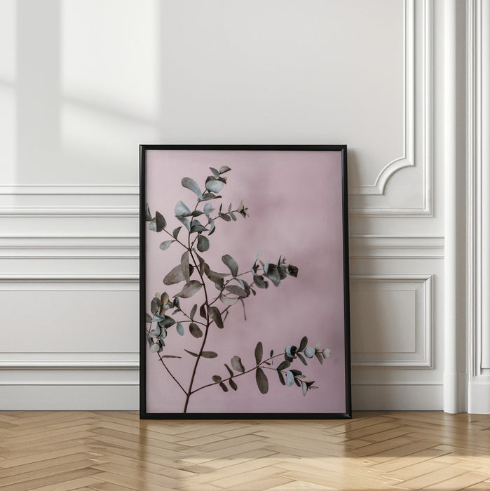 Eucalyptus 12 Framed Art Modern Wall Decor