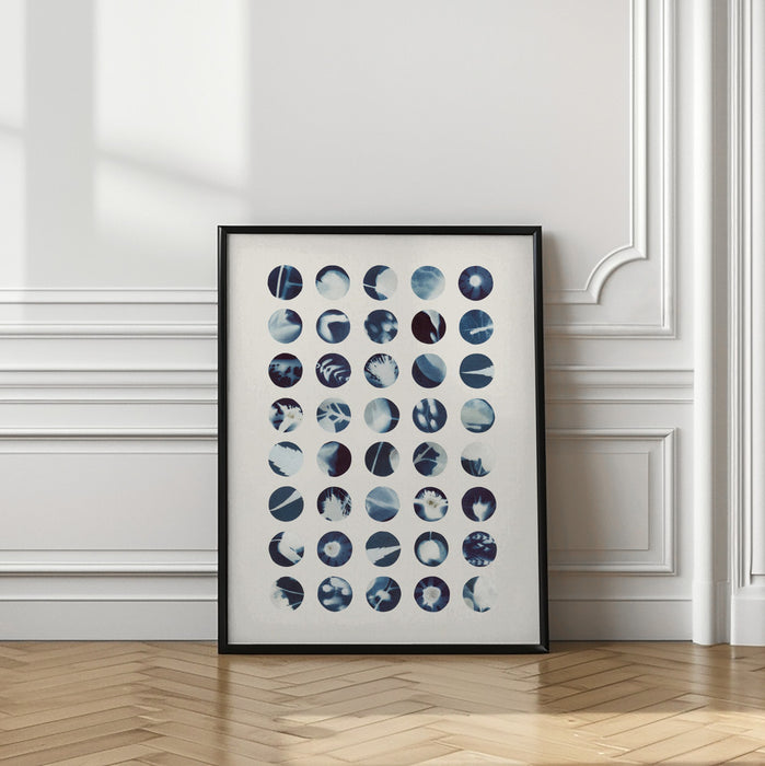 Botanical Cyanotypes Framed Art Modern Wall Decor