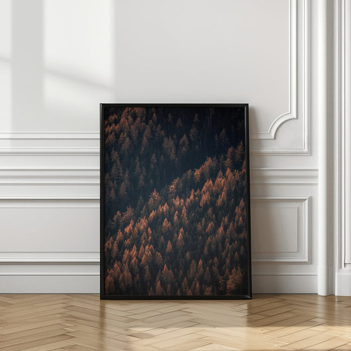 Autumn Woods 2 Framed Art Modern Wall Decor