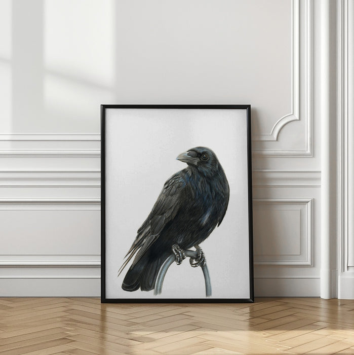 Nevermore Framed Art Modern Wall Decor