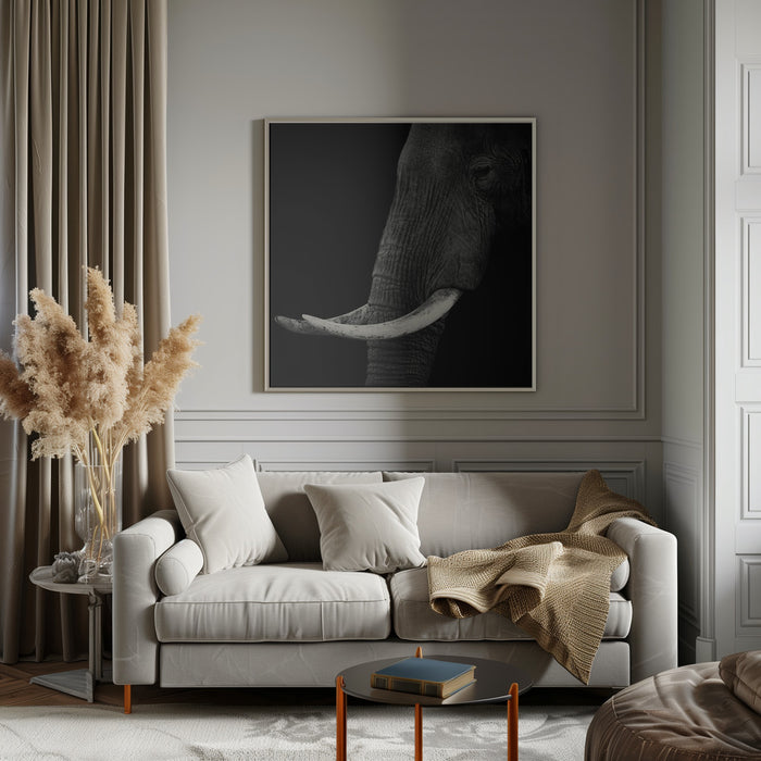 Elephant profile Square Canvas Art Print