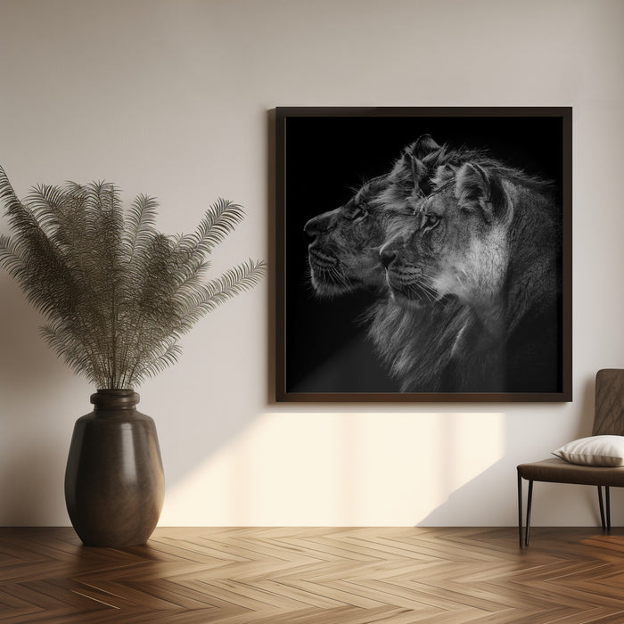 Lion and  lioness portrait Square Canvas Art