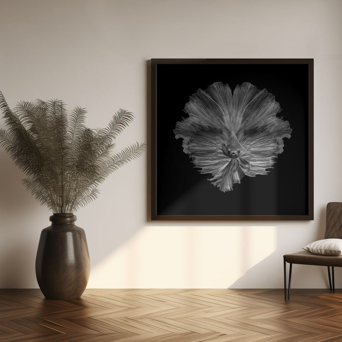 The Flower of tail Square Canvas Art Print