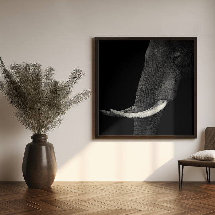 Elephant profile Square Canvas Art Print