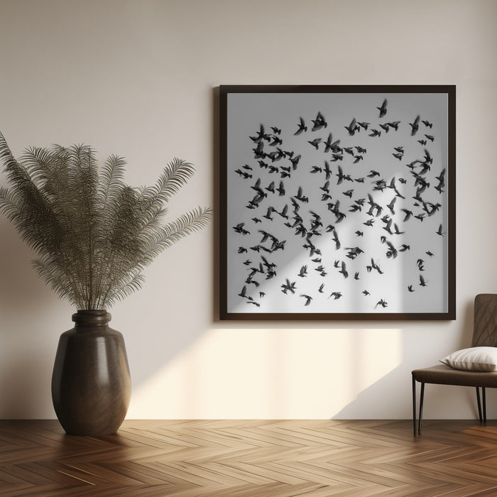 Birds Square Canvas Art