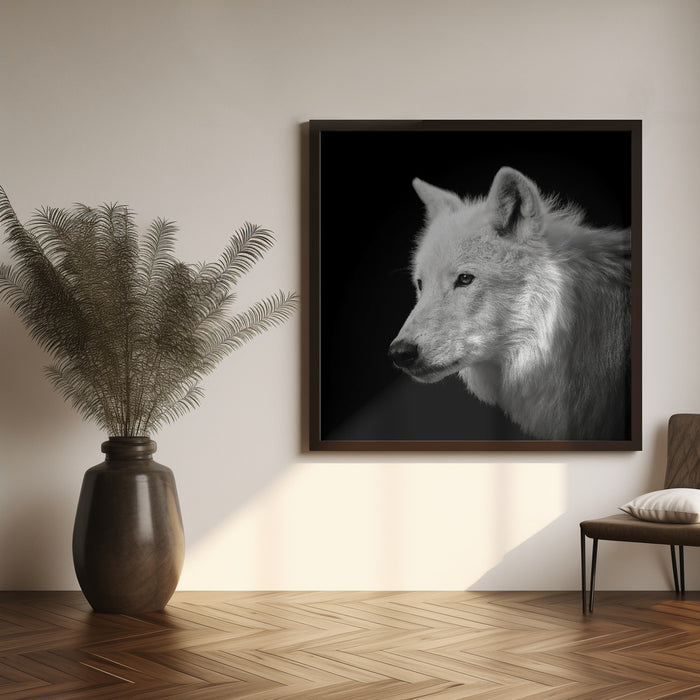 White Wolf #2 Square Canvas Art Print