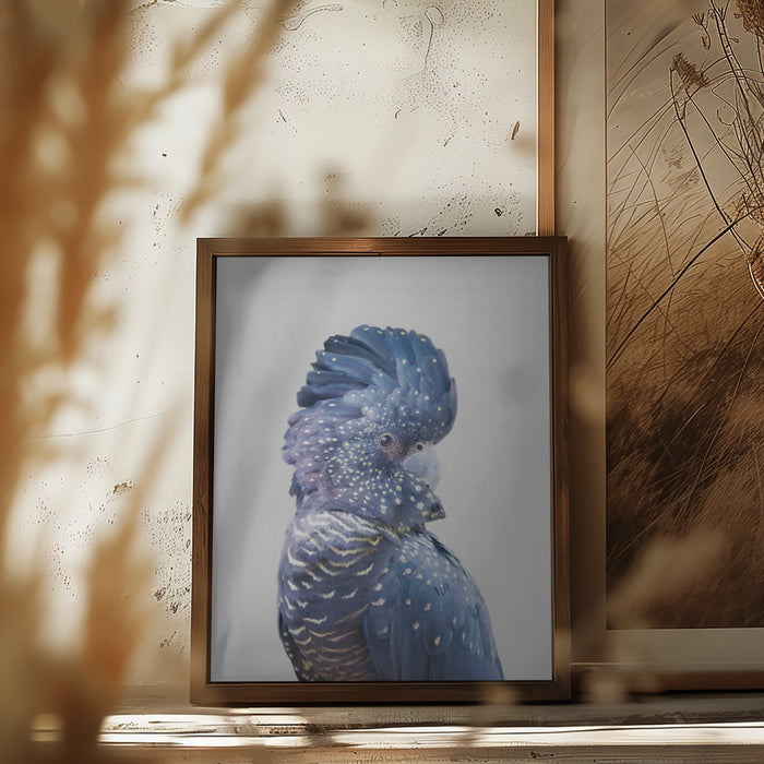 Black Cockatoo Framed Art Modern Wall Decor