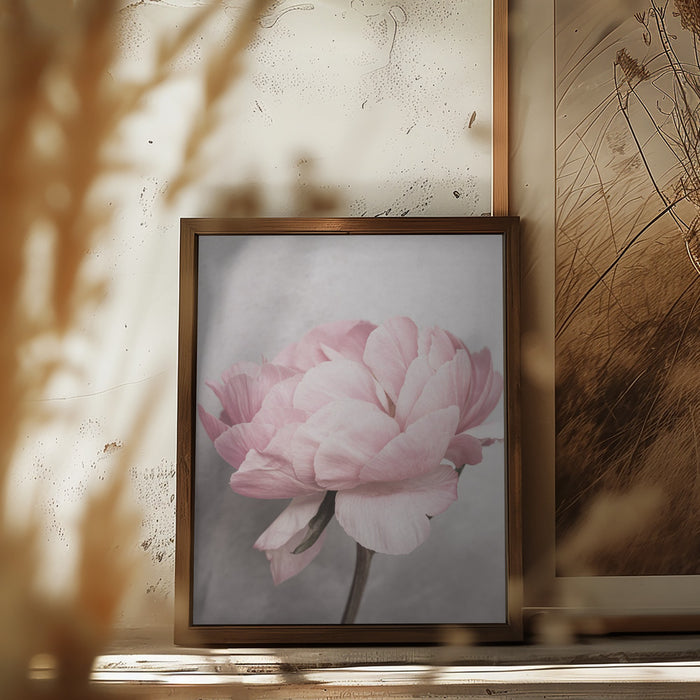 Peony Framed Art Modern Wall Decor