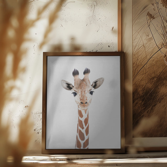 Baby Giraffe Framed Art Modern Wall Decor