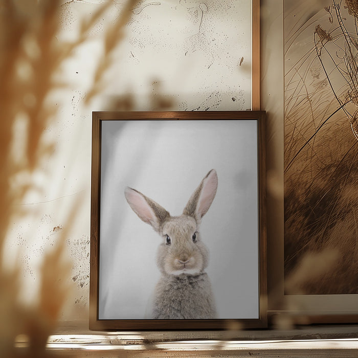 Baby Rabbit Framed Art Modern Wall Decor