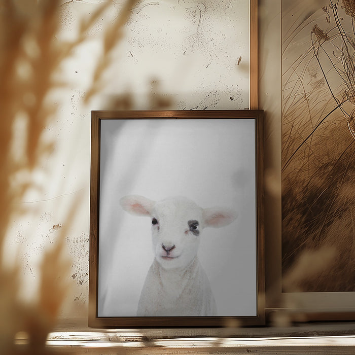 Baby Lamb Framed Art Modern Wall Decor