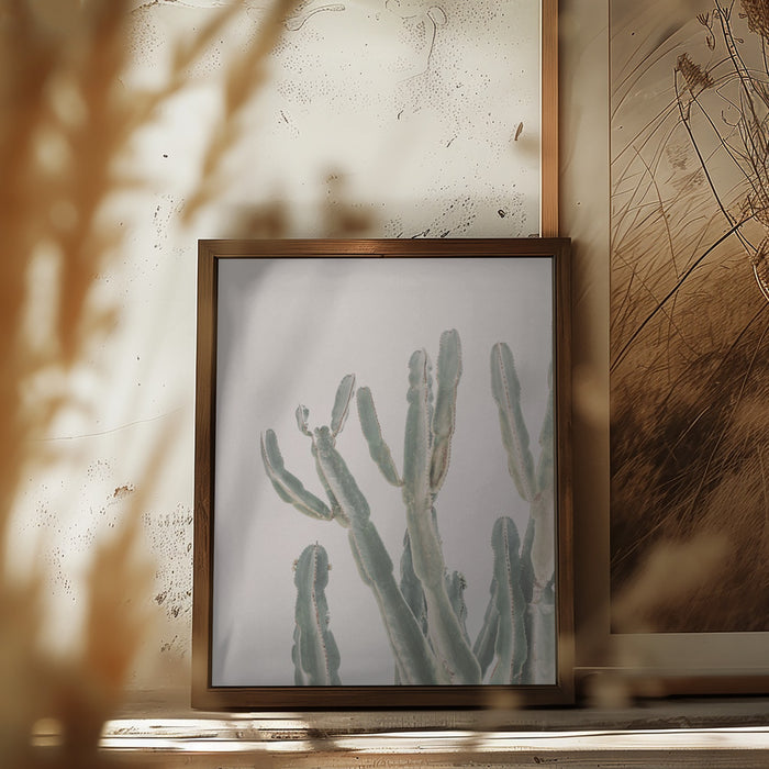 Sunrise Cactus Framed Art Modern Wall Decor