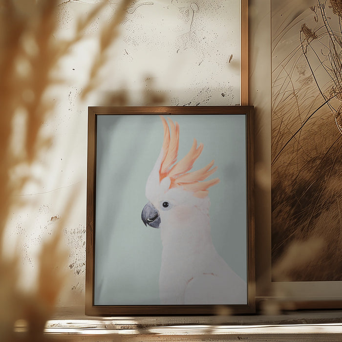 Cockatoo Framed Art Modern Wall Decor