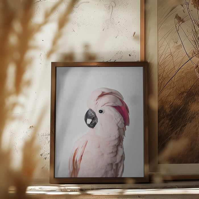 Pink Cockatoo Framed Art Modern Wall Decor