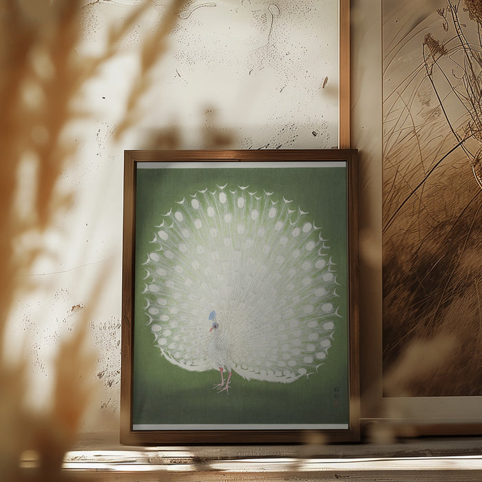 Peacock Framed Art Wall Decor